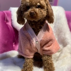 Köpek Kedi Peluş Hırka Polar