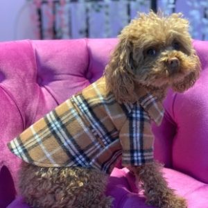 Köpek Kedi Oduncu Gömlek