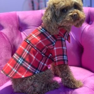 Köpek Kedi Oduncu Gömlek